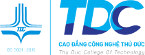 Logo TDC